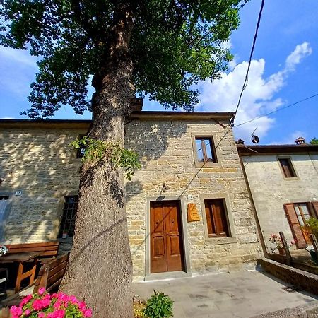 Апартаменти Casina La Quercia Санта-Софія Екстер'єр фото