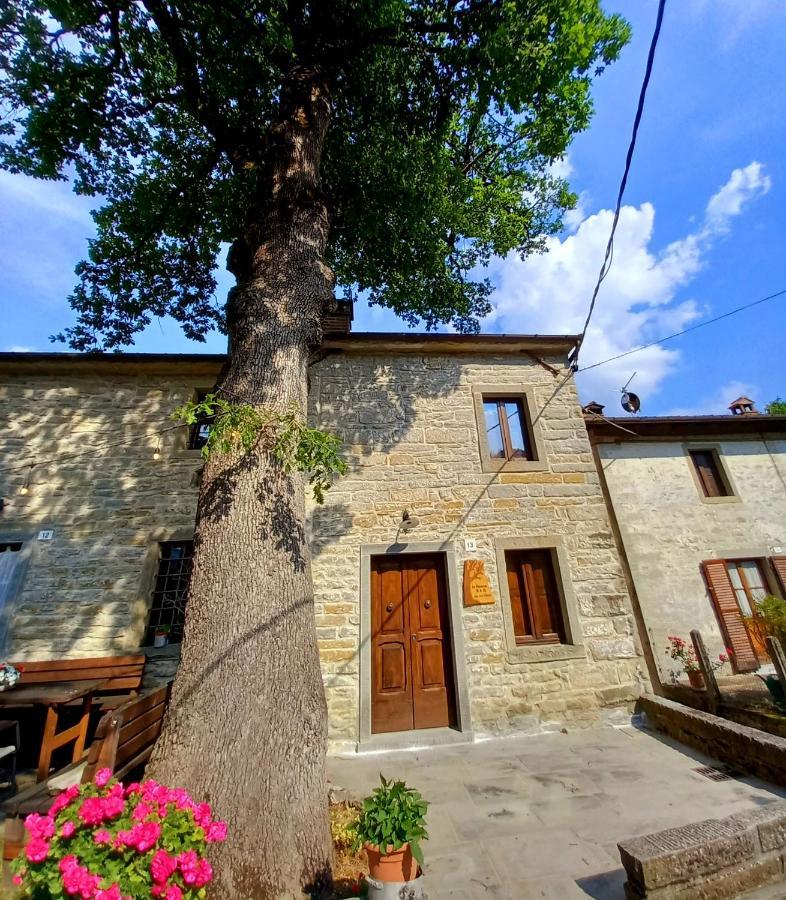 Апартаменти Casina La Quercia Санта-Софія Екстер'єр фото