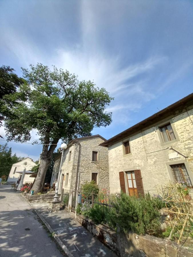 Апартаменти Casina La Quercia Санта-Софія Екстер'єр фото