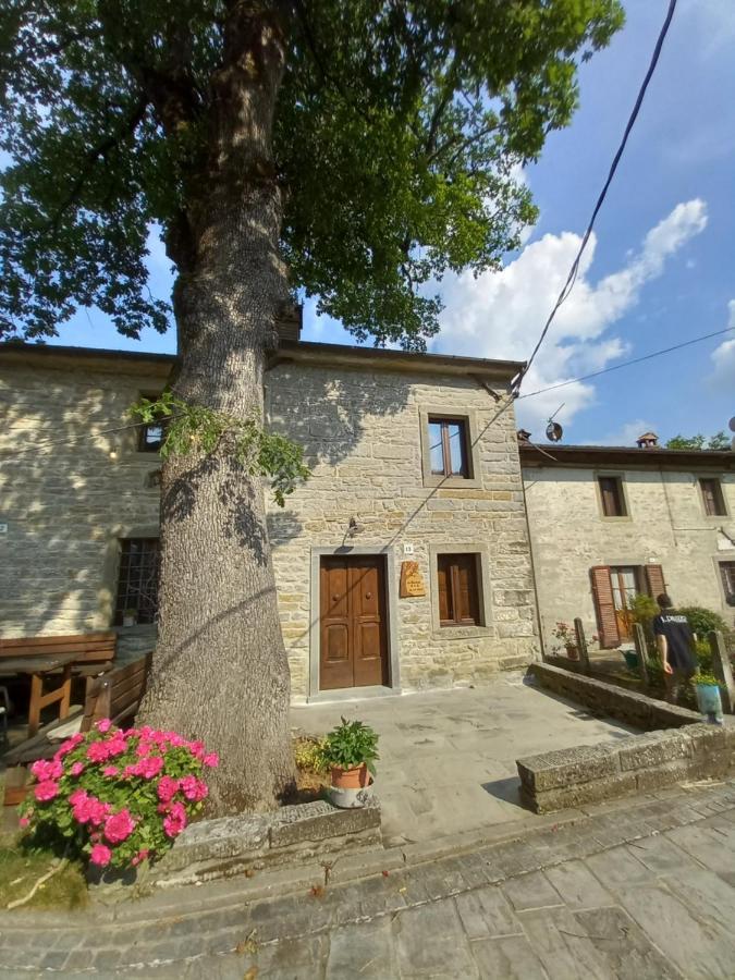 Апартаменти Casina La Quercia Санта-Софія Екстер'єр фото