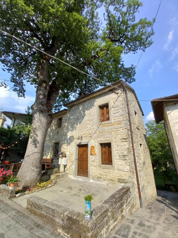 Апартаменти Casina La Quercia Санта-Софія Екстер'єр фото