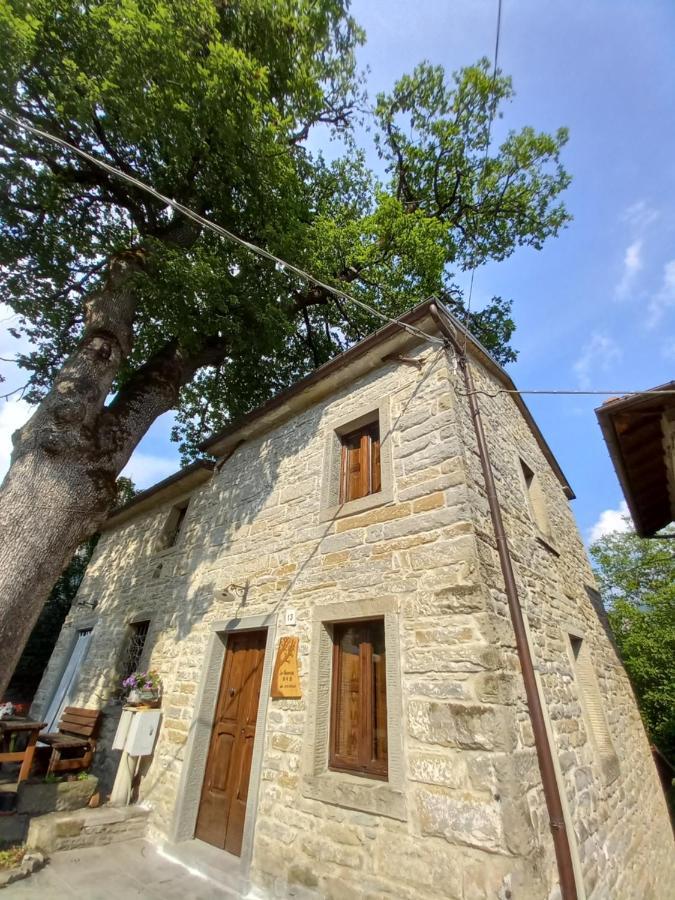 Апартаменти Casina La Quercia Санта-Софія Екстер'єр фото